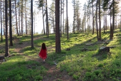 20479855_136868476905663_2227568408541069953_n