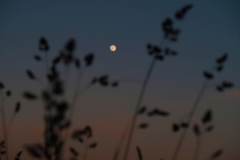 26756D7F-8154-4C22-805D-3BF078AECFA9