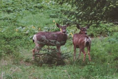 3530FF27-01A5-4662-A172-CFB28CE1627E