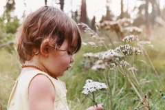 67403208_425205574748811_4455070641569136640_n