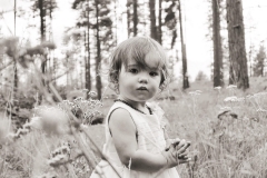 67565433_2463516097002423_2789831925928296448_n