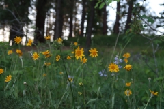 D063546B-7966-48EE-B16B-0CFC0FEFC249